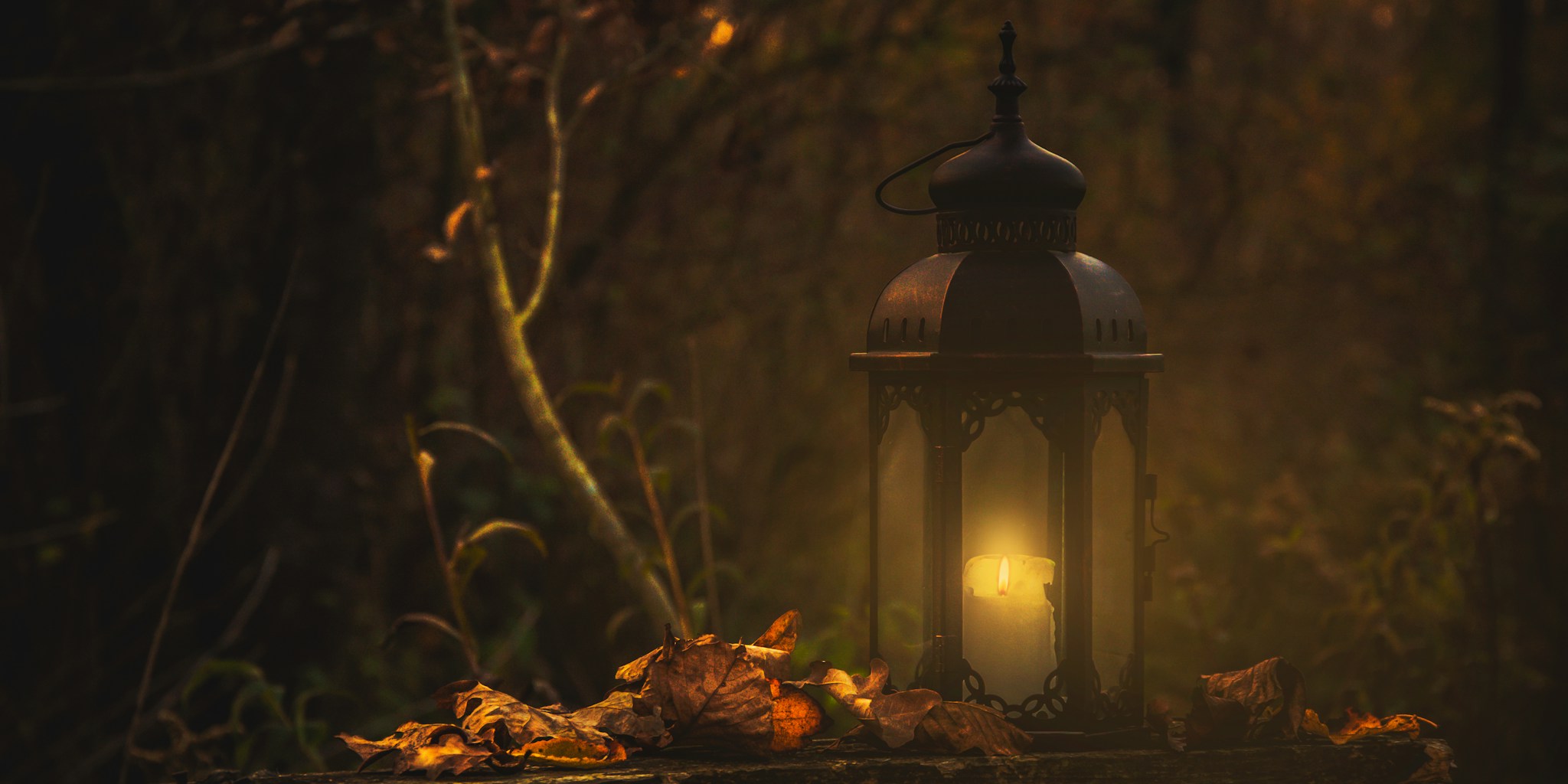 Make Patio Lanterns From Toilet Paper Rolls and Leaves