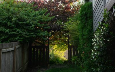 Old Bed Frames Become Trendy Privacy Screens