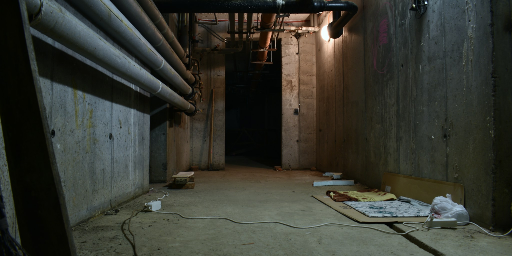 Basement Plumbing Collapse: What Homeowners Need to Know Right Now