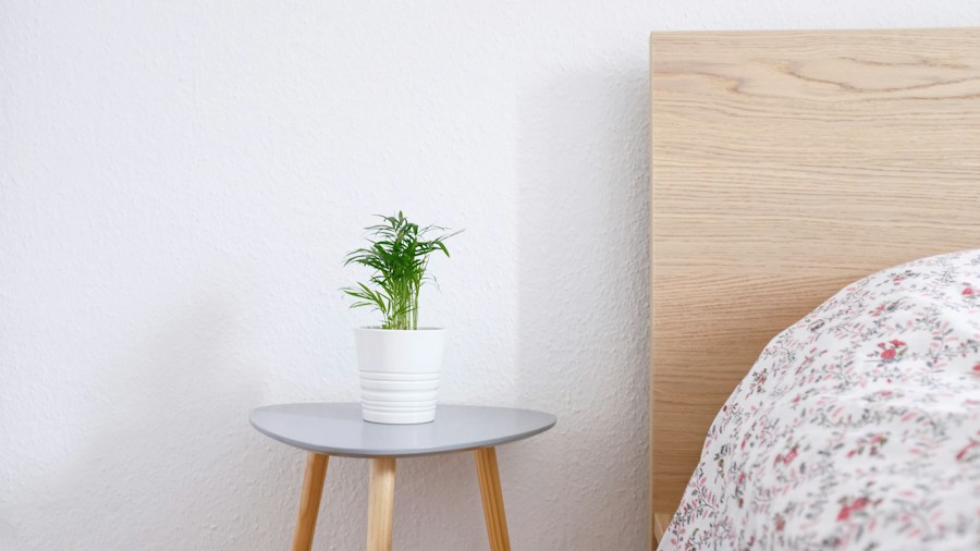 5 Ways to Use an IKEA Stool Beyond Basic Seating 2 bedroom plant stand decor