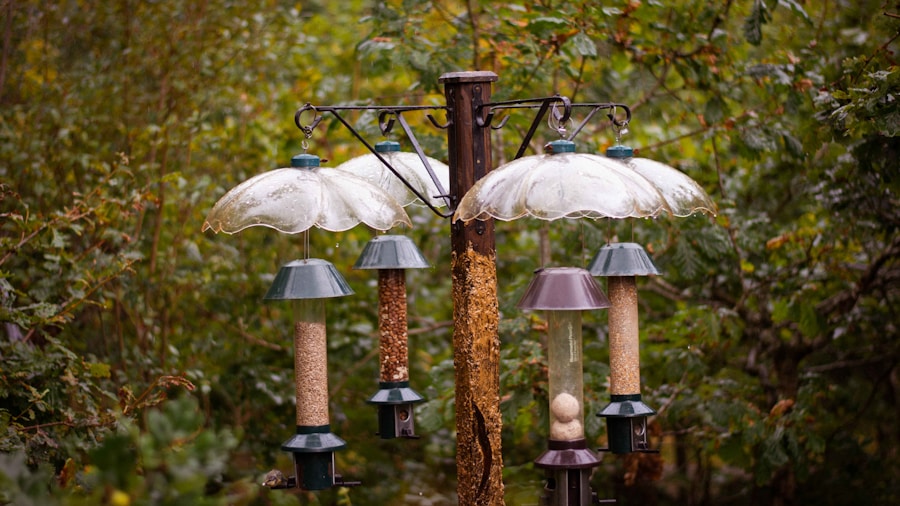 bird feeder seedheads flowers