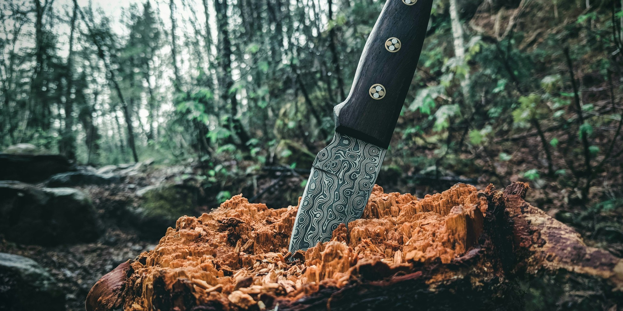 Klein Tools Releases New Limited Edition Blackout 2 in 1 Utility Knife What Shoppers Need to Know