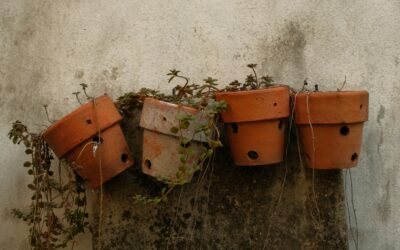 Turn Old Terracotta Pots Into Boho Wall Planters
