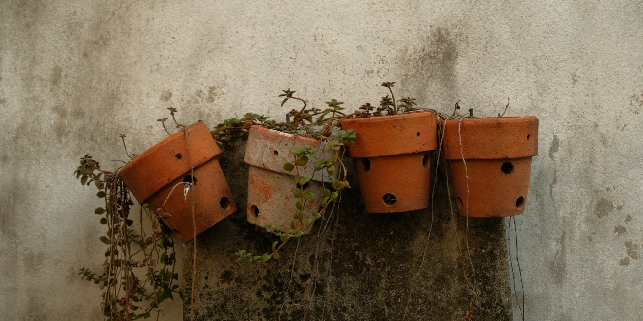 Turn Old Terracotta Pots Into Boho Wall Planters