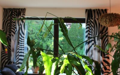 Designer Reveals How Statement Curtains Set the Tone for Your Entire Home