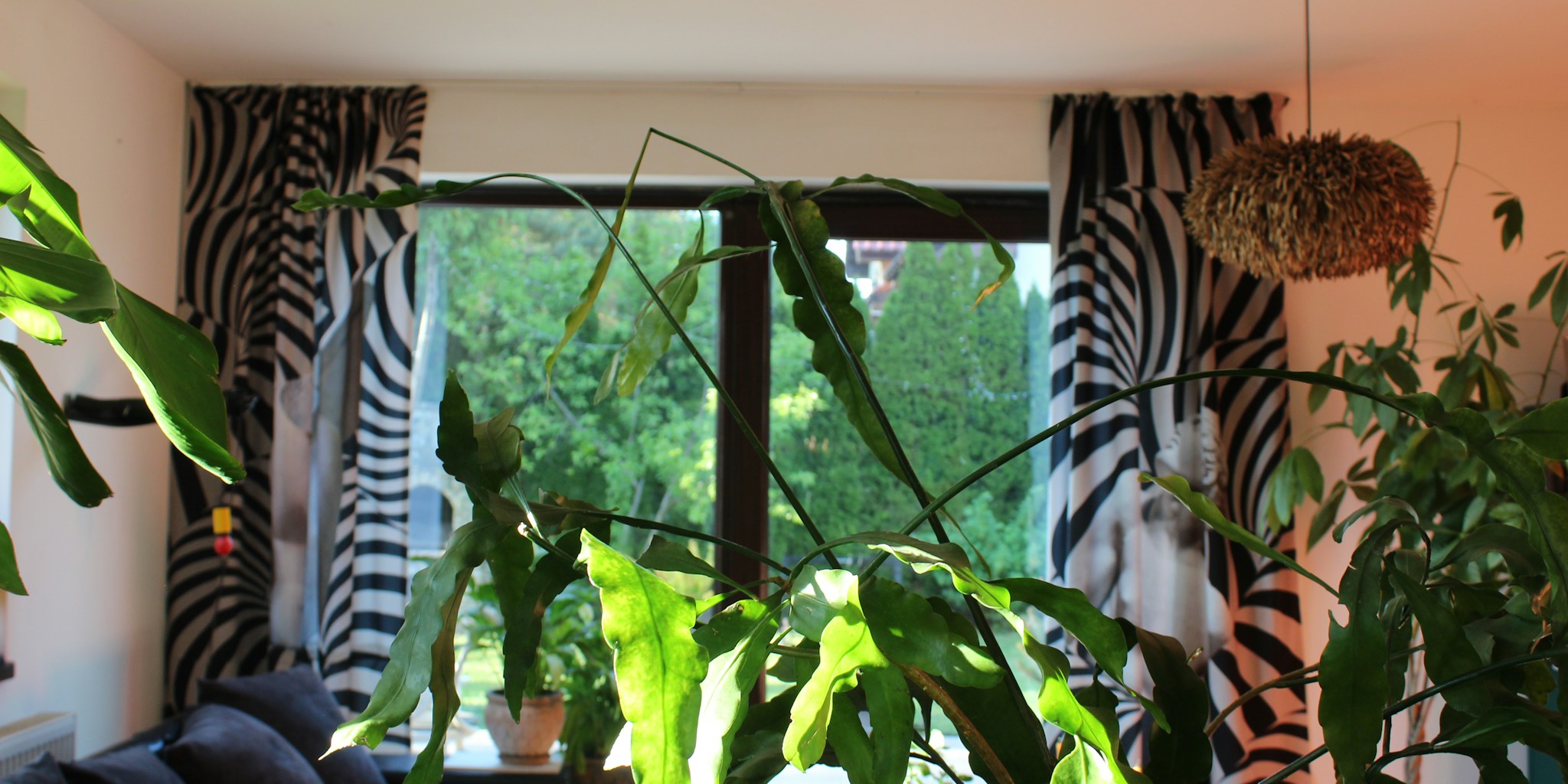 How Designer Used Bold Curtains to Transform a Brooklyn Home
