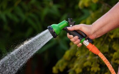 7 Tips to Clean Vinyl Siding Without Professional Help