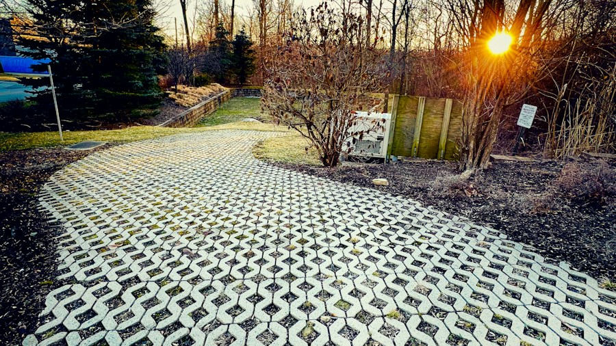 Small Backyard Patio Transformation: What Homeowners and Renters Should Know 1 concrete pavers ground leveling landscaping