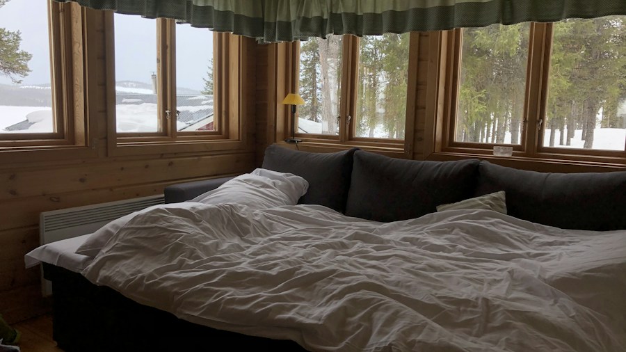 convertible sleeper sofa bedroom