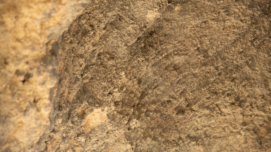 cork texture natural material close up