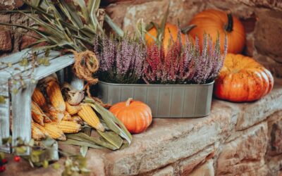 Lone Fox Launches at West Elm: Designer Collaboration Explained