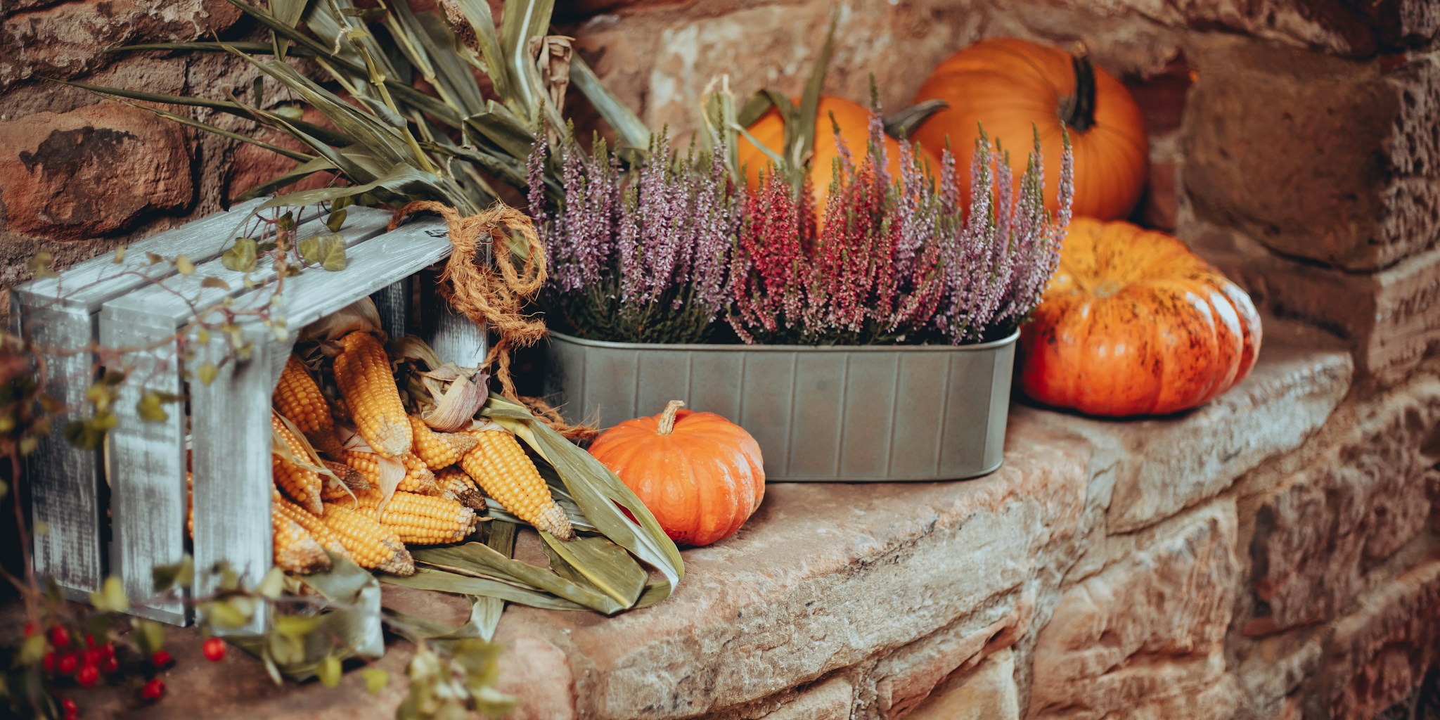 Lone Fox Launches at West Elm: Designer Collaboration Explained