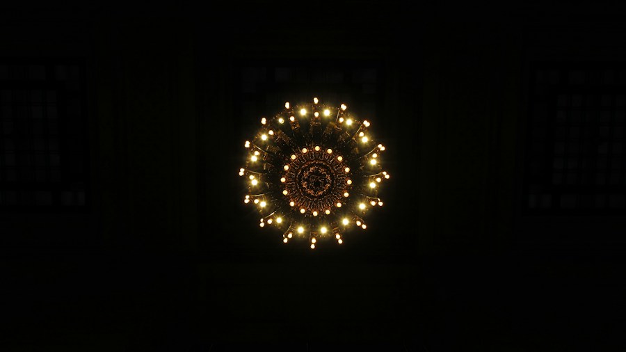 Victoria Beckham's Bronze Chandelier Trend: What It Means for Your Home Decor 1 dark bronze leaf chandelier overhead