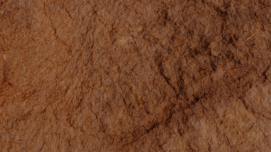 earthy natural textures decor