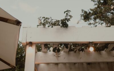 $38 Solar Chandelier Trend Takes Off