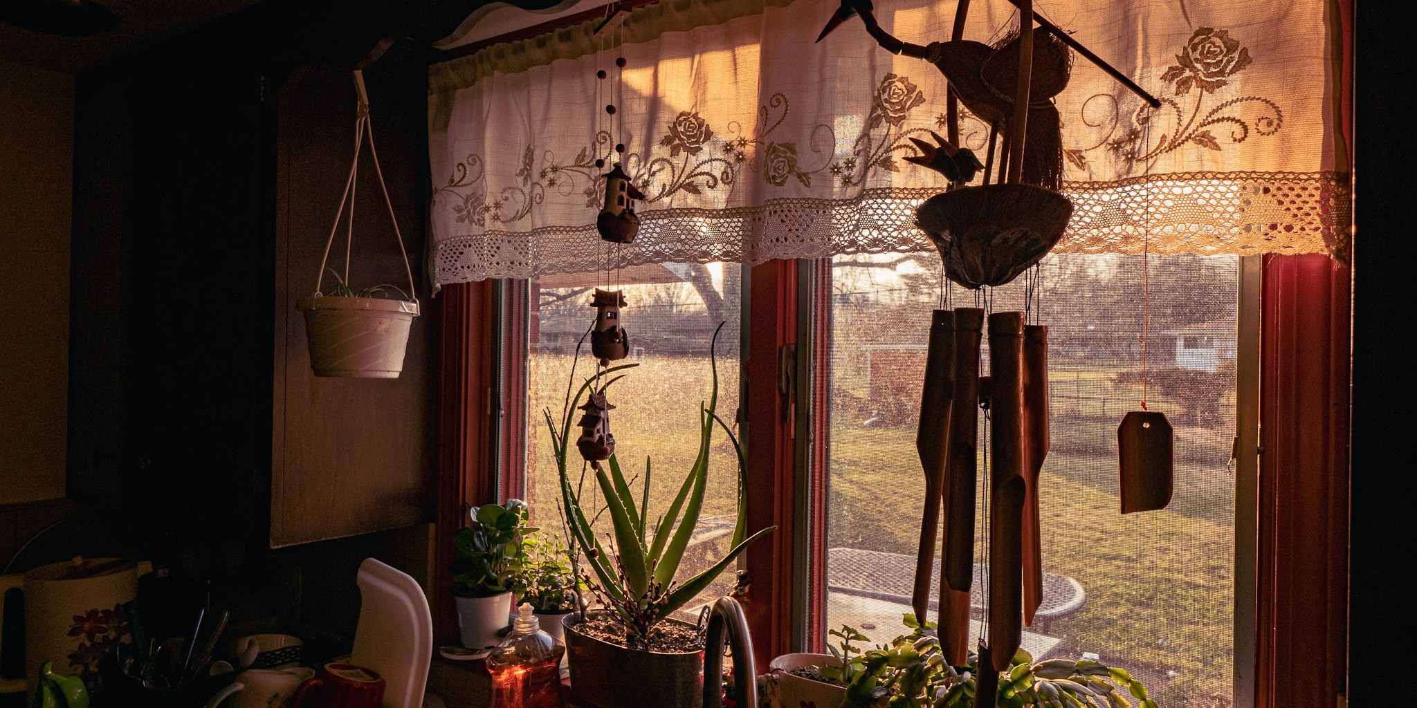 Nature Inspired Curtain Rods Are Trending: What Shoppers Should Know