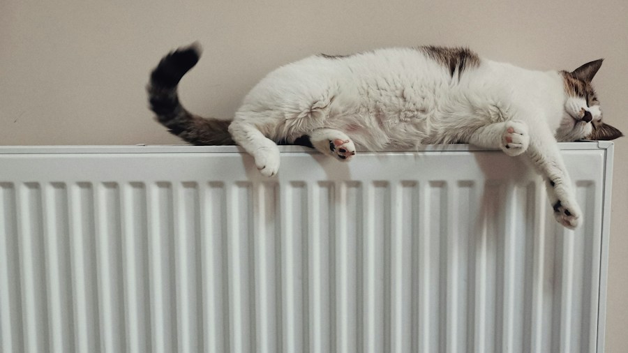 energy efficient home heating