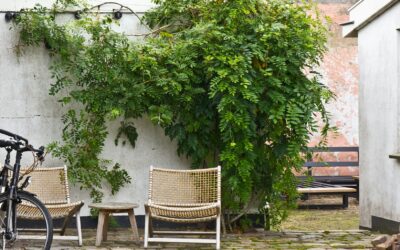 Renter Transforms Tiny Backyard Into European Cottage Retreat