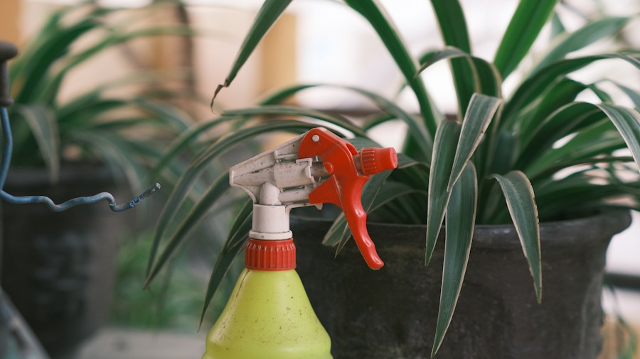 6 Tips to Stop Making September Houseplant Care Mistakes 1 fertilizer bottle with houseplant
