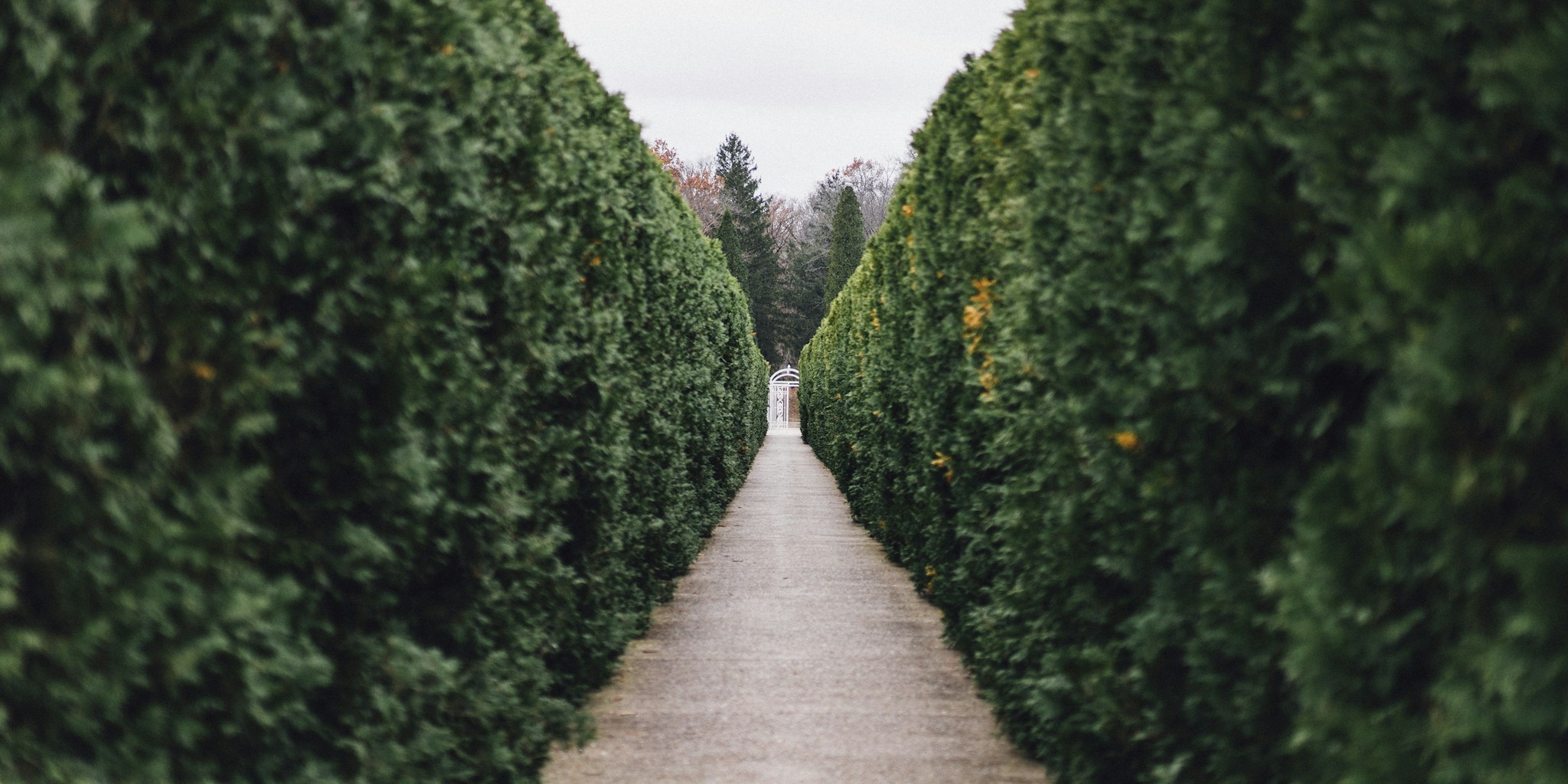 Historic Dutch Garden De Theetuin Shows How Smart Design Reveals Beauty Over Time