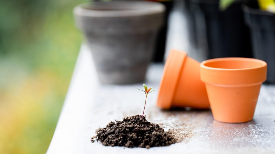 gardener working at wooden potting table