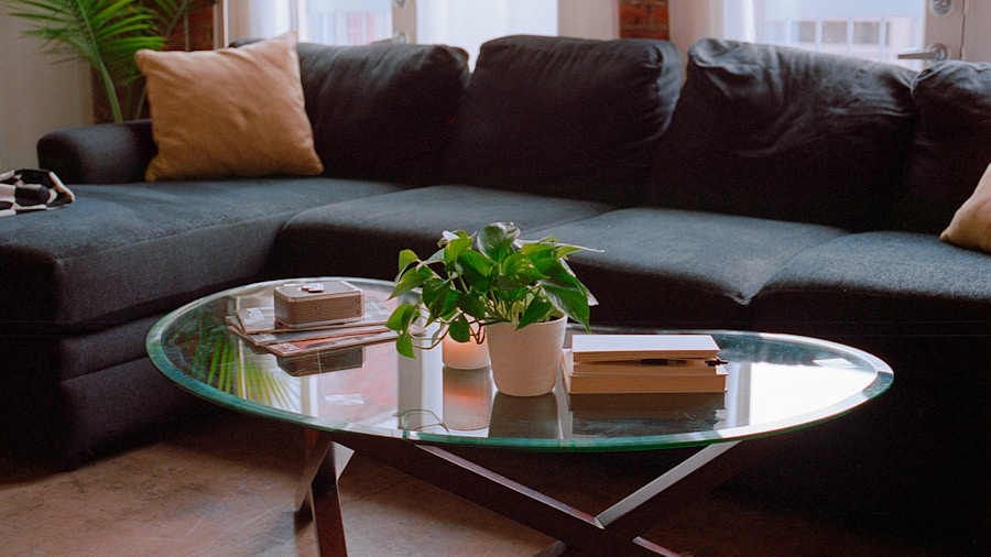 glass tabletop with plants books