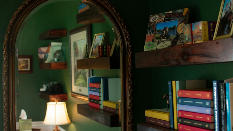 Colored Bookshelf Trend Is Replacing Plain White Shelving: What Shoppers Need to Know 2 green painted built-in shelves library