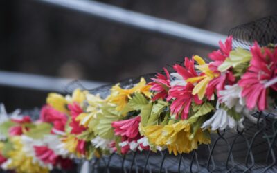 Transform Egg Cartons Into Stunning Hanging Flowers