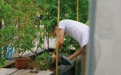 EPA Overhauls Refrigerant Certification Exam in 2026