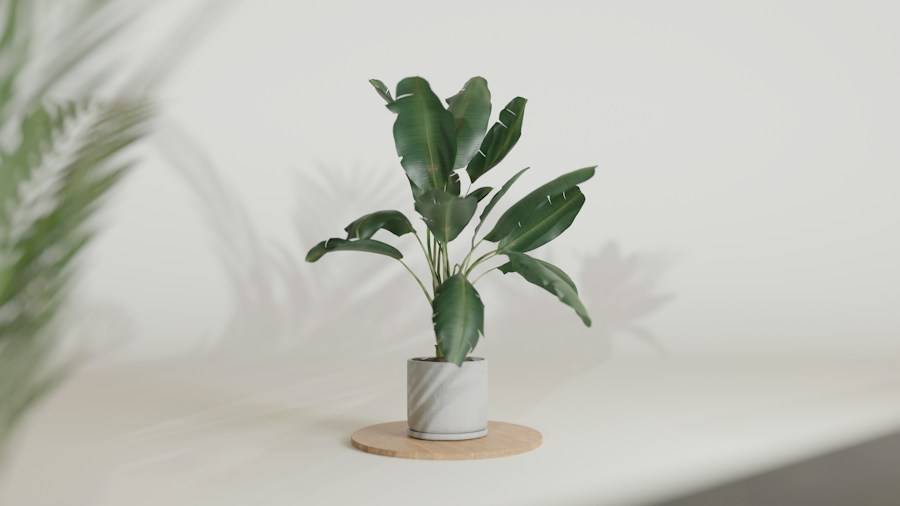 indoor plant stand decor