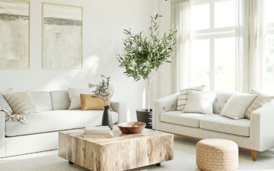 Gray Sofas: The 2027 Trend That's Actually Timeless