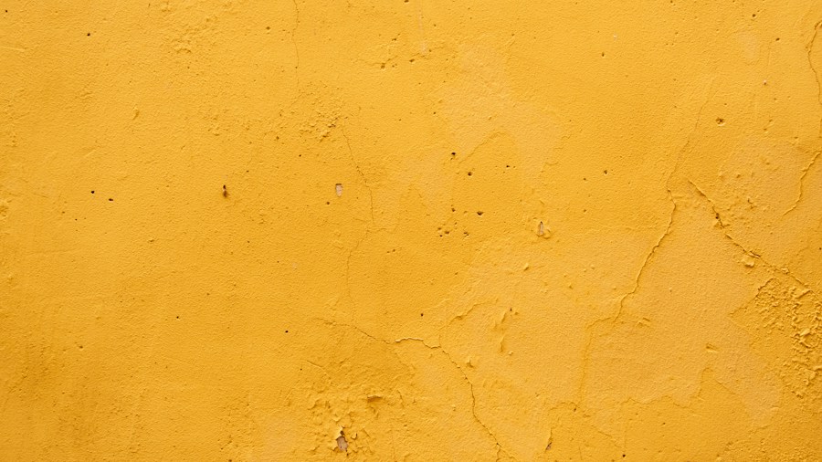 limewash plaster wall texture