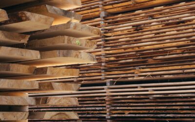 Lumber End Paint Colors Explained: What Shoppers Need to Know Before Buying