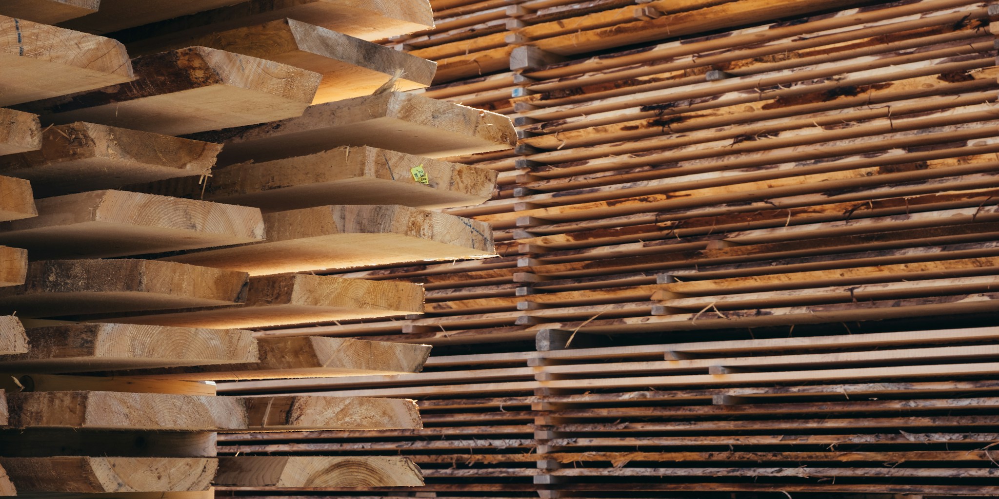 Lumber End Paint: What the Colors Really Mean
