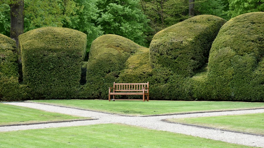 mature boxwood hedges landscape formal garden