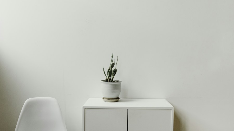 minimalist apartment storage solutions