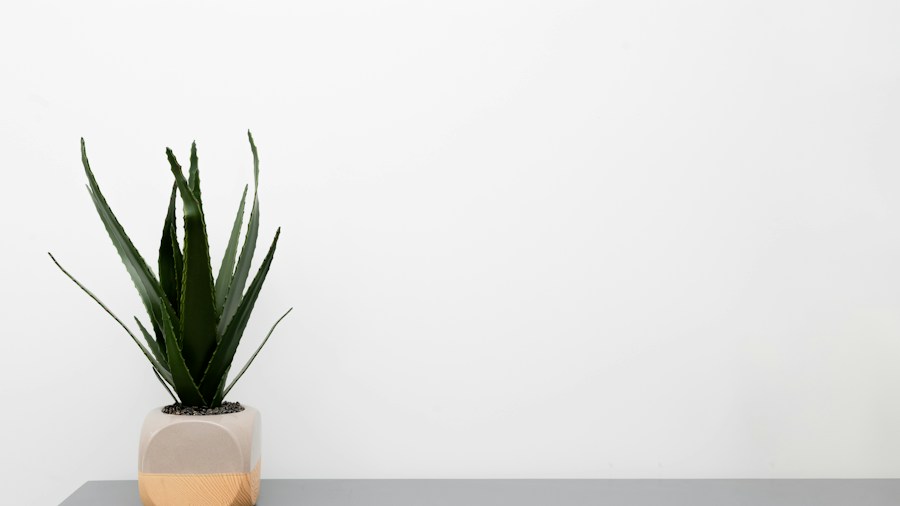 Mori Mushroom Robot Launches for Nightstands: What Shoppers Need to Know About This Screen Free Companion 2 minimalist nightstand design plants