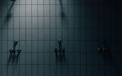 Upgrade Your Shower Hooks for Better Style and Function