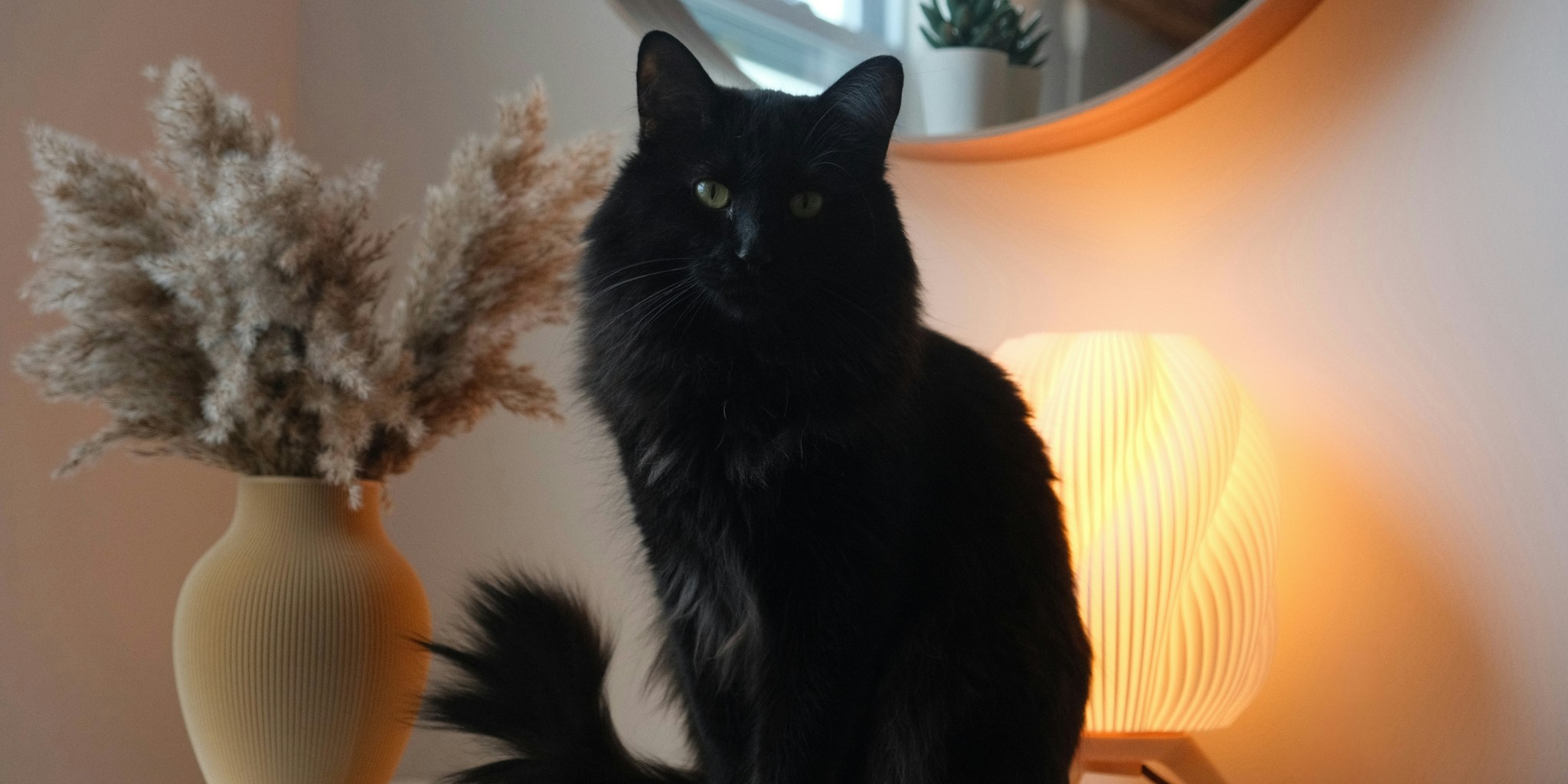 Designer Scratchers Reshape Pet Furniture Market