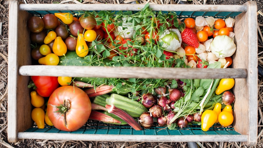 morning harvest kitchen garden