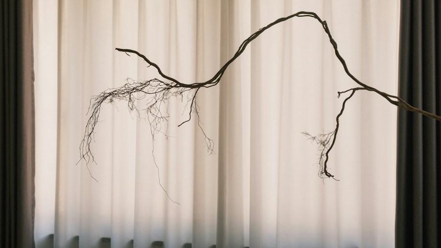 8 Creative Ways to Hang Curtains Beyond the Traditional Rod 1 natural branch curtain rod rustic