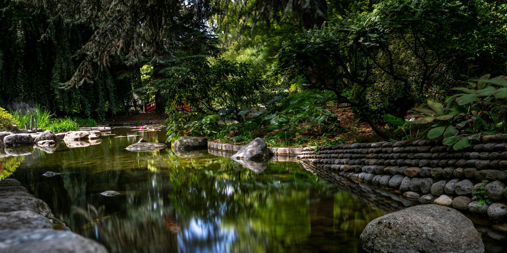 Natural Pool Gardens: The New Backyard Trend Shoppers Should Know