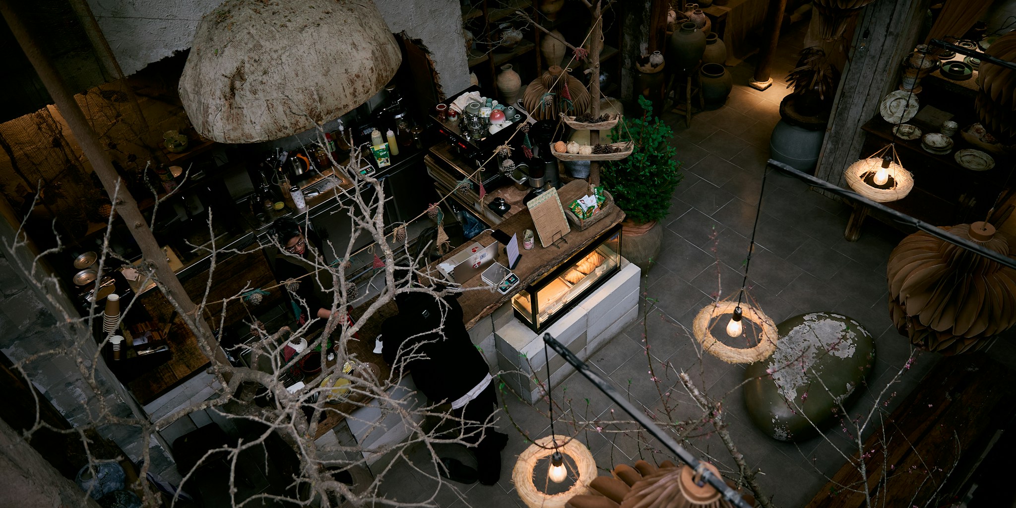 2027 Lighting Trend: Organic Shapes Take Over