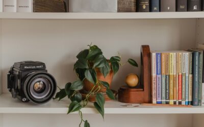 4 Tips to Finally Organize Your Bookshelf