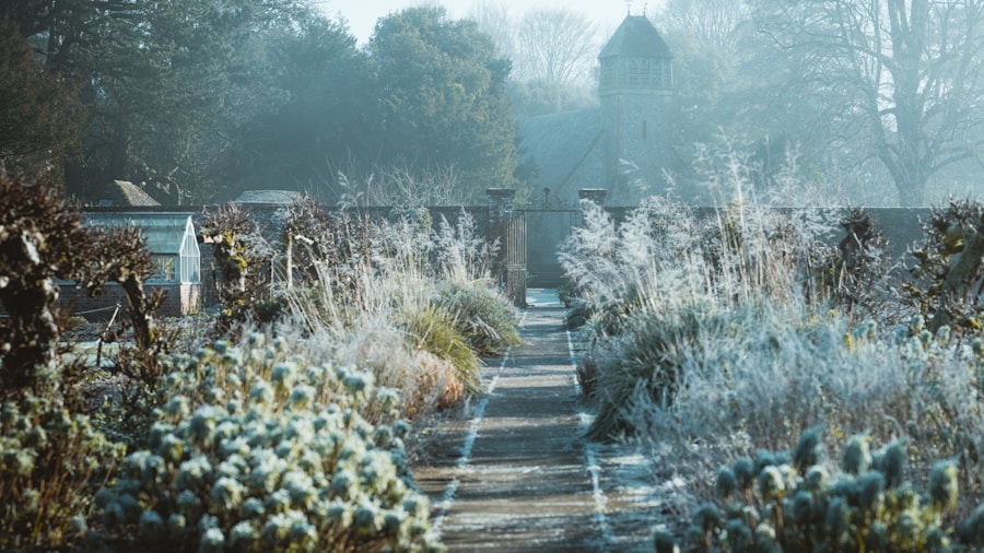 September Pruning Mistakes: Seven Perennials and Shrubs Buyers Should Leave Alone 2 ornamental grass frost winter garden