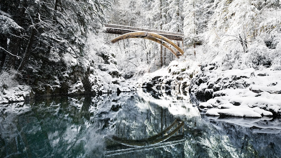 outdoor landscape colors