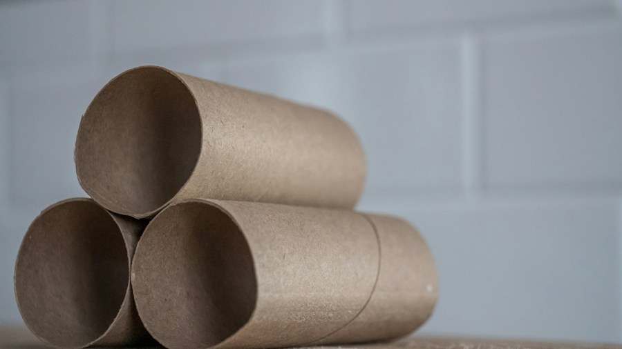 paper towel tube craft supplies materials