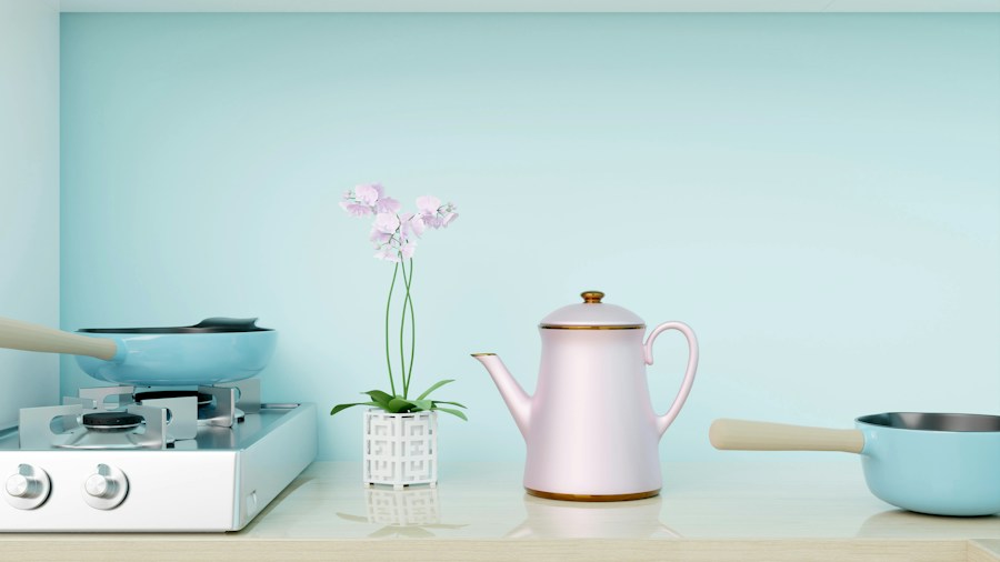 IKEA Kitchen Remodel Transforms Denver Home for Just $10,000 What Shoppers Should Know 2 pastel kitchen with plants