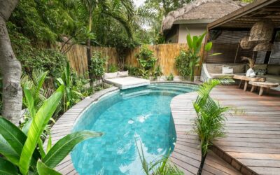 Calming Garden Plants for a Tranquil Outdoor Space What Shoppers Should Know