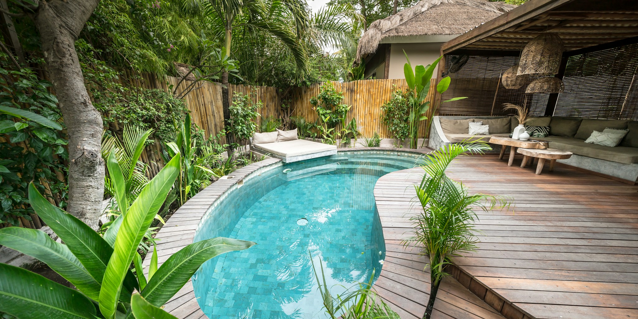 Calming Garden Plants for a Tranquil Outdoor Space What Shoppers Should Know
